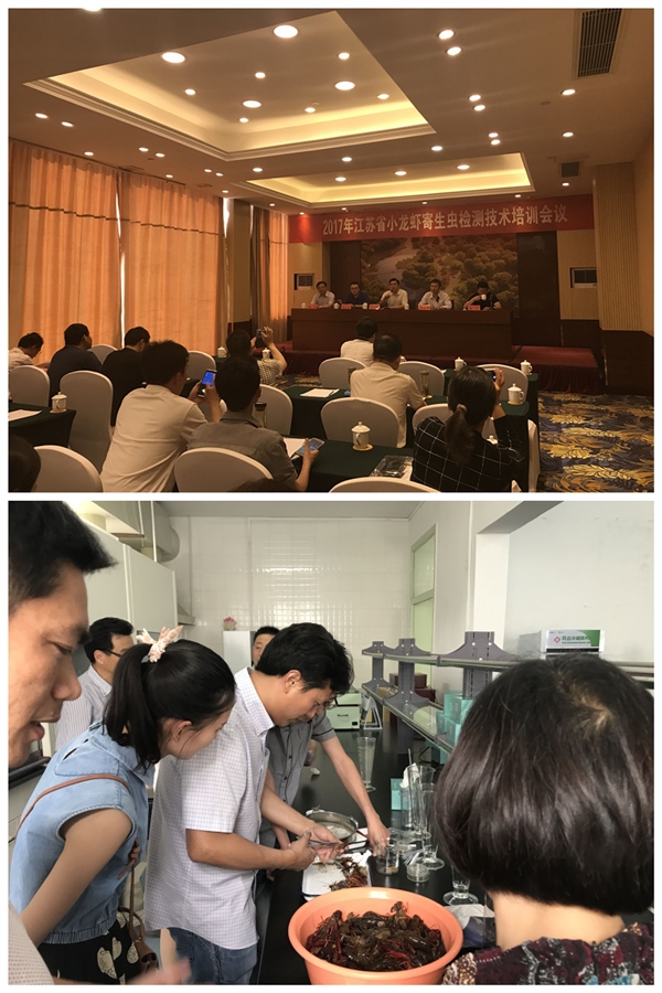 2017年全省小龍蝦寄生蟲檢測技術培訓班在淮安成功舉辦