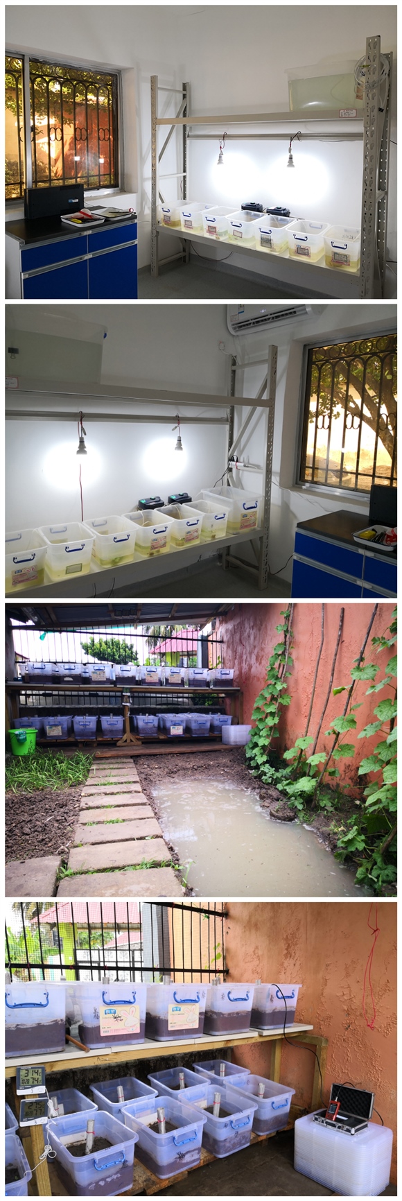 援桑給巴爾血吸蟲病防治項目組開展水泡螺實驗研究