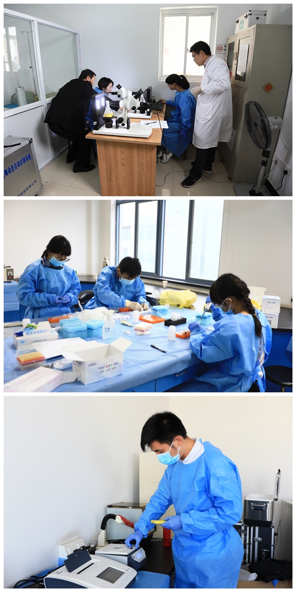 江蘇省2018年血吸蟲病風(fēng)險(xiǎn)評估在丹徒區(qū)開展