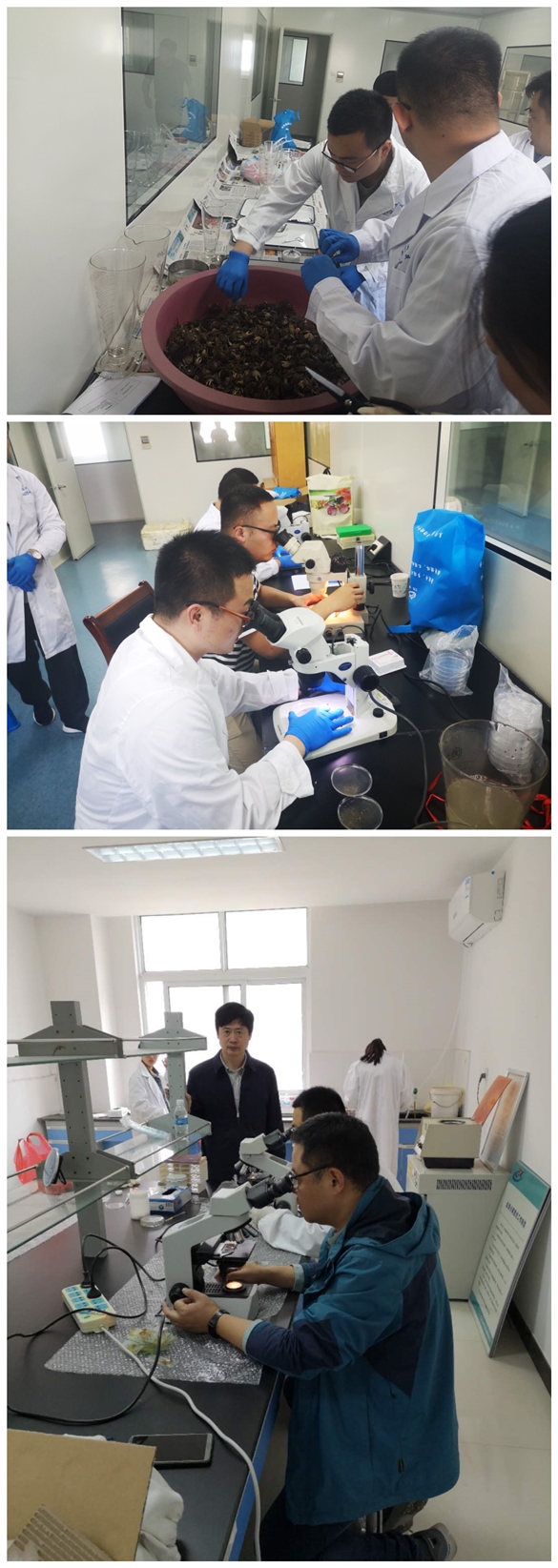 我所完成鹽城地區蟛蜞中寄生蟲的監測工作