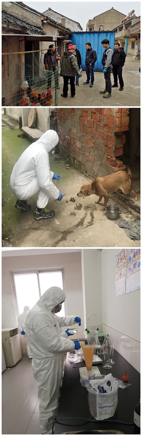 中國疾病預防控制中心寄生蟲病研究所專家來我省指導包蟲病監測工作
