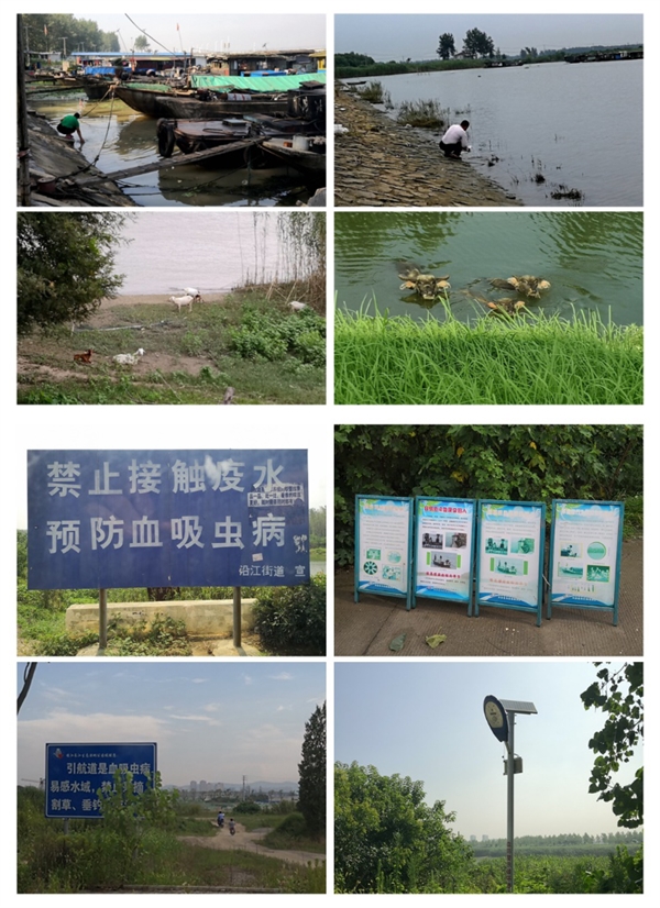 我省開展夏季汛期血吸蟲病防控暗訪工作