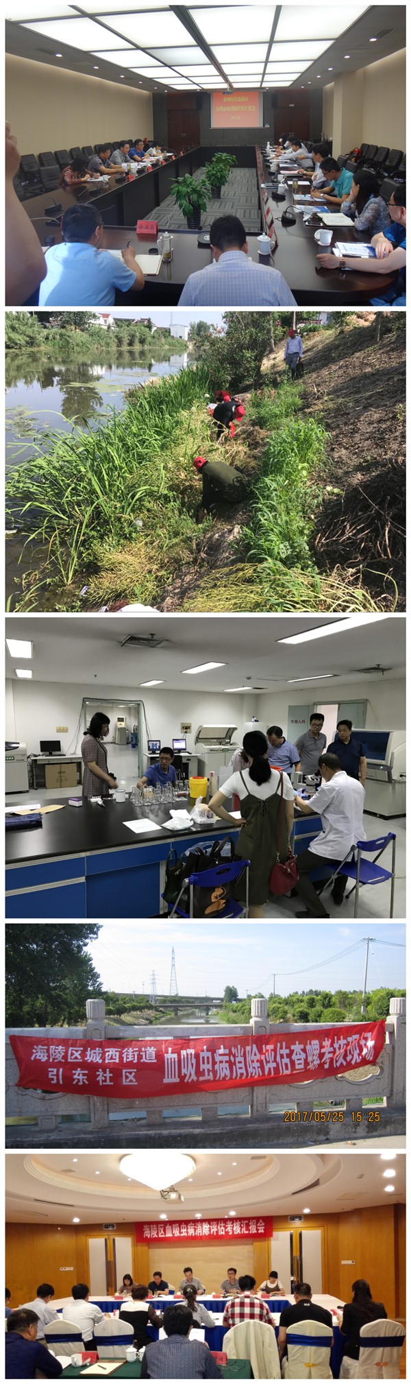 我省開展泰州市高港區、醫藥高新區、海陵區、姜堰區達到血吸蟲病消除標準現場評估工作