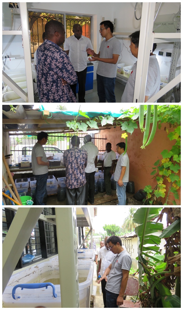 桑給巴爾衛(wèi)生部疾控局局長Fadhil M.Abdalla到訪援桑給巴爾血吸蟲病防治項目