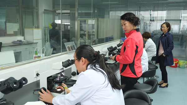 蘇魯豫皖鄂五省瘧疾聯(lián)防檢查組高度肯定我省消除瘧疾工作